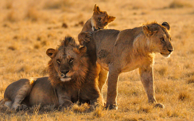 Serengeti National Park