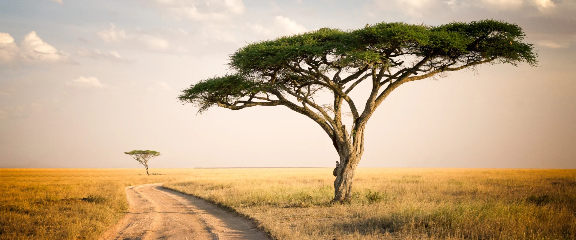 Serengeti National Park