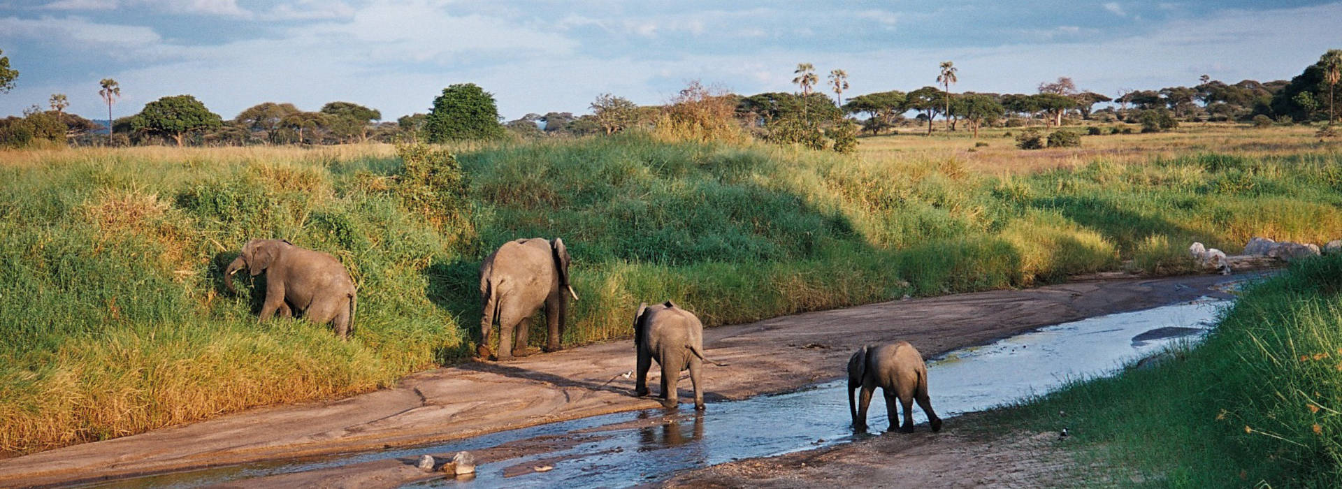 Africa Safari Destinations
