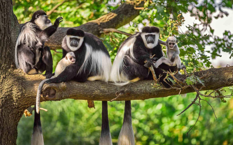 Arusha National Park