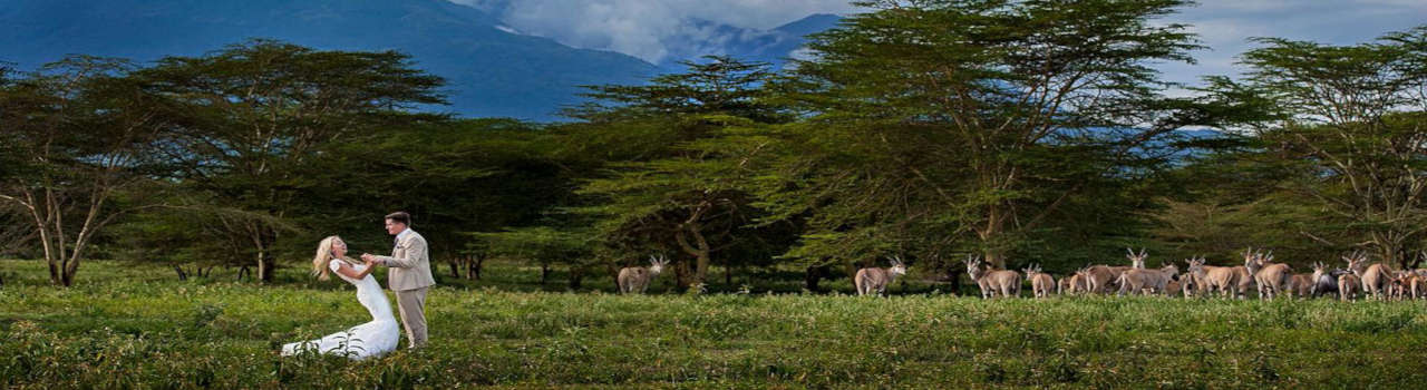 Kim’zebra Adventures and Safaris Limited