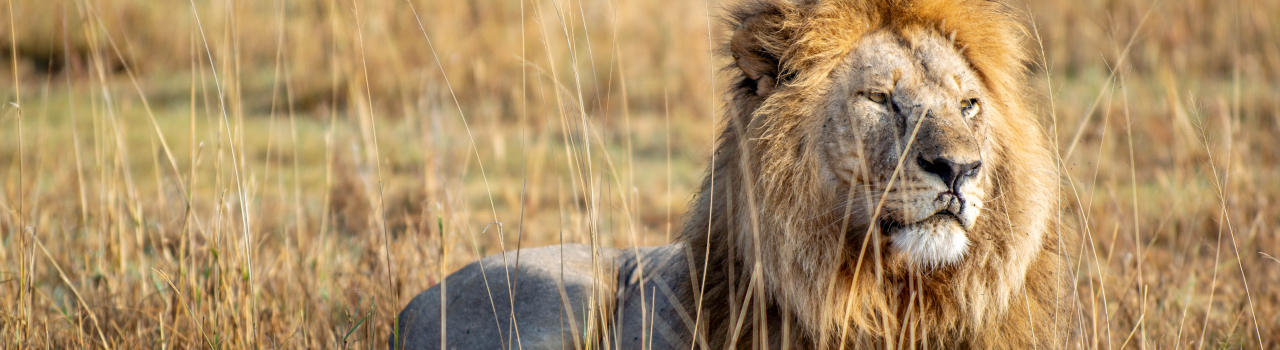 Quest Horizon Safaris Ltd