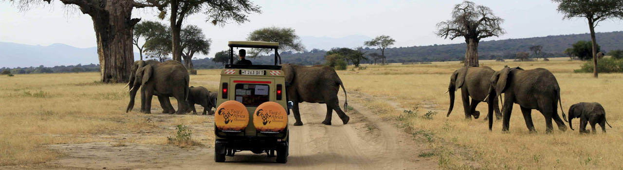 Face of Africa Adventures