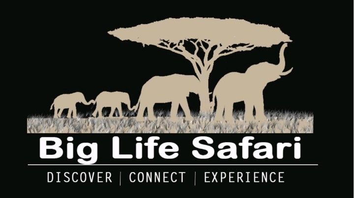 BIG LIFE SAFARI