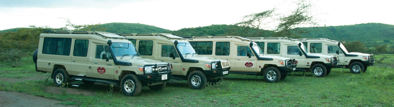 8 Days Highlights Of Tanzania