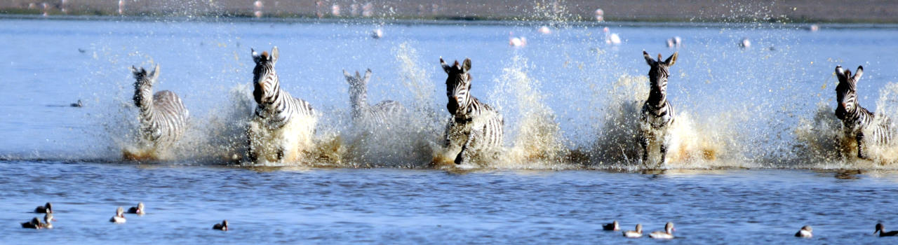 11 Days Safari Unforgettable Experience Plus Zanzibar (Spice Island)