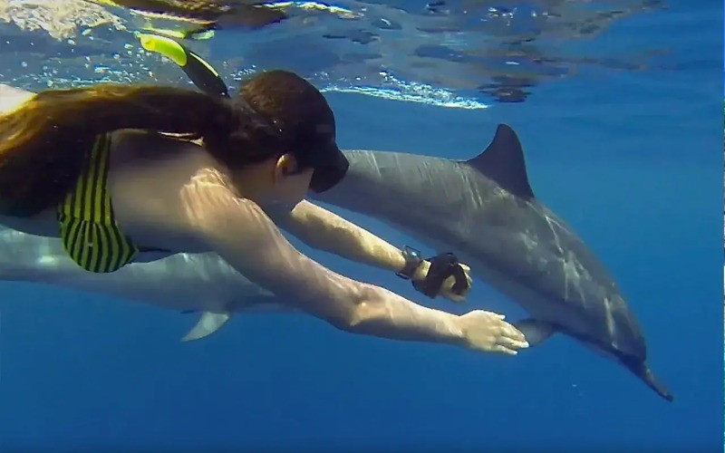 Dolphin And Snorkeling Tour photo