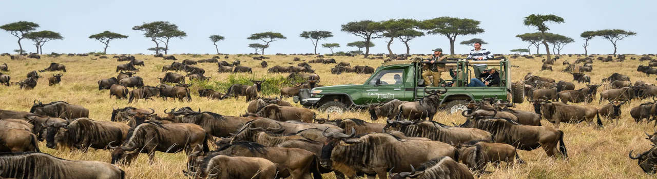Great Serengeti Migration Safari