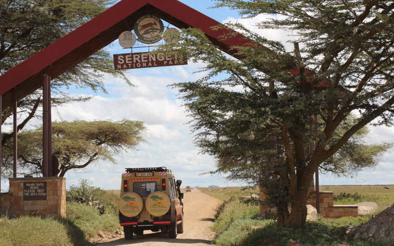 Great Serengeti Migration Safari