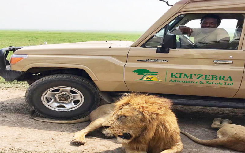 Game Drive In Ngorongoro Crater photo