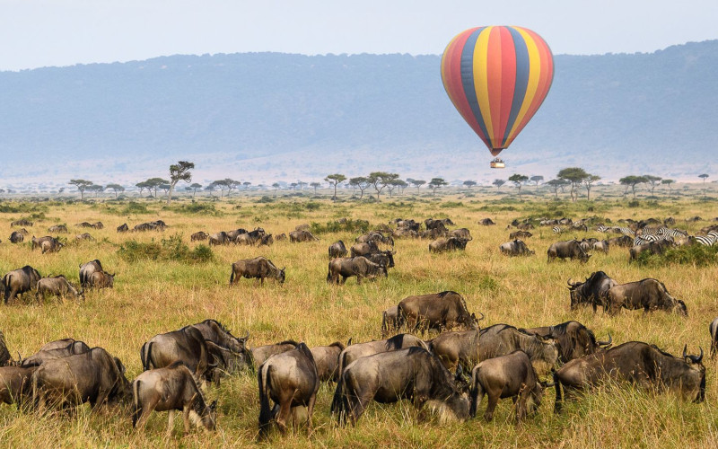 Full Day Serengeti National Park photo