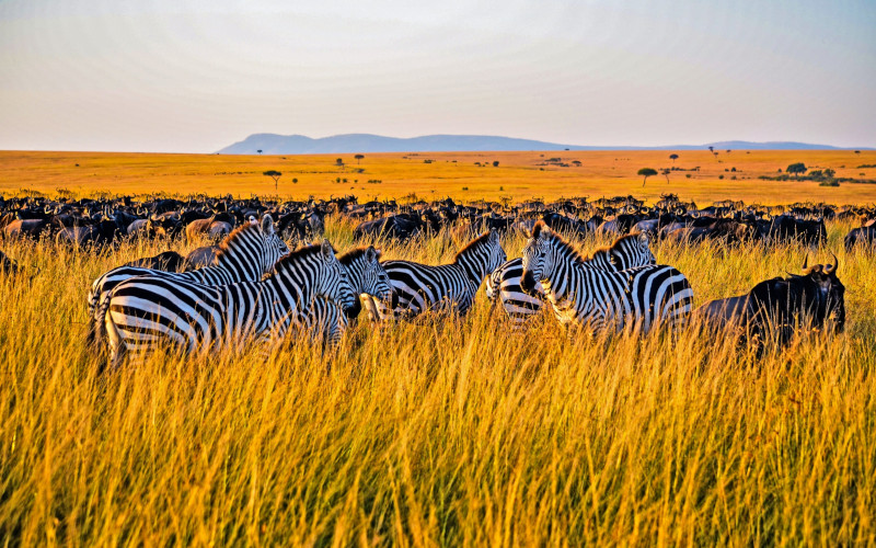 Transfer To Serengeti National Park photo