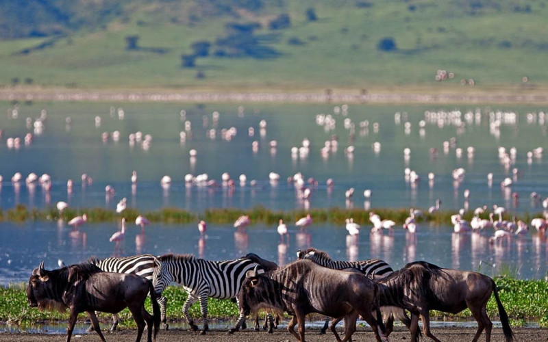 Lake Manyara National Park photo