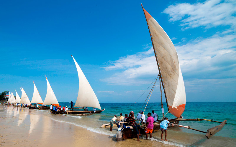 Safari Blue (Full Day Trip) photo