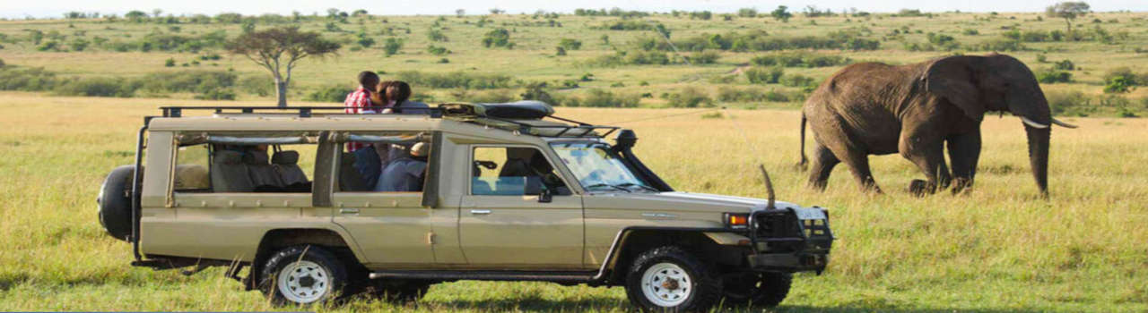 Arusha National Park And Ngorongoro Crater