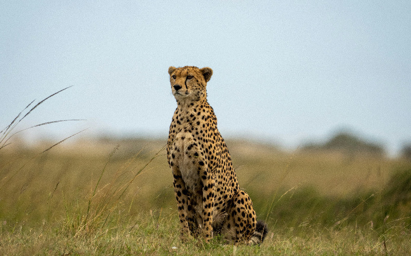 Into The Wild: Explore Tanzania In 7 Unforgettable Days