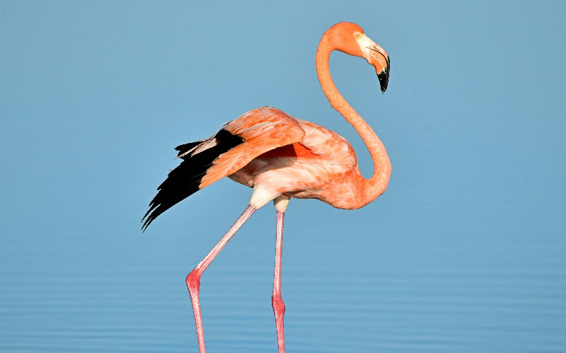 Arusha National Park photo