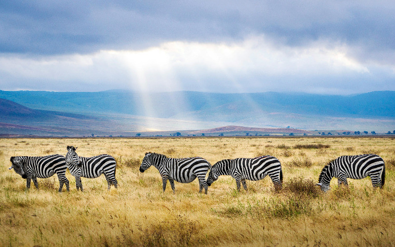 Ngorongoro Crater photo