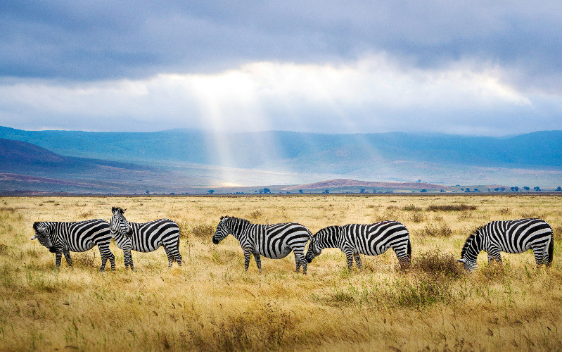 Ngorongoro Crater- Kilimanjaro International Airport photo