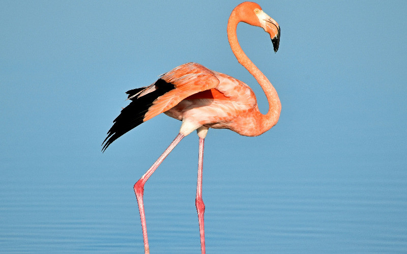 Lake Manyara National Park photo