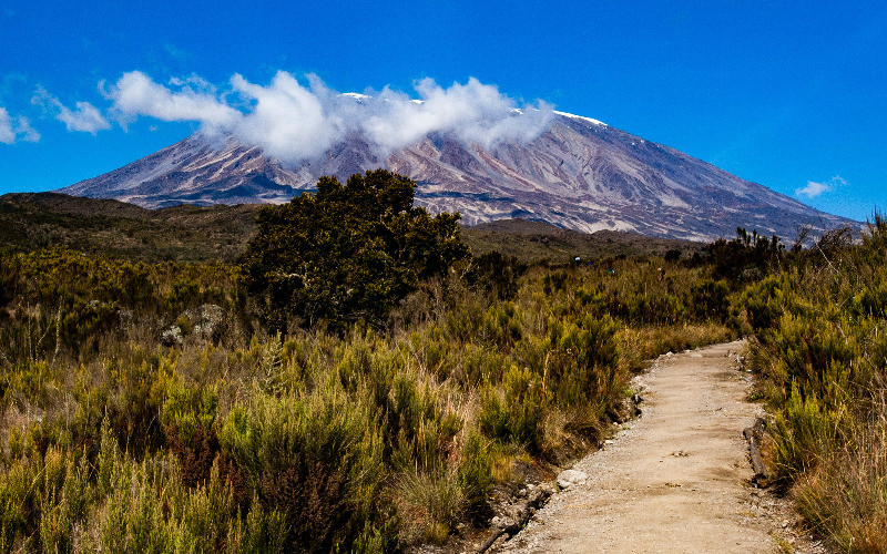 Machame Gate To Machame Camp photo