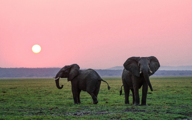 Ngorongoro Crater- Arusha photo