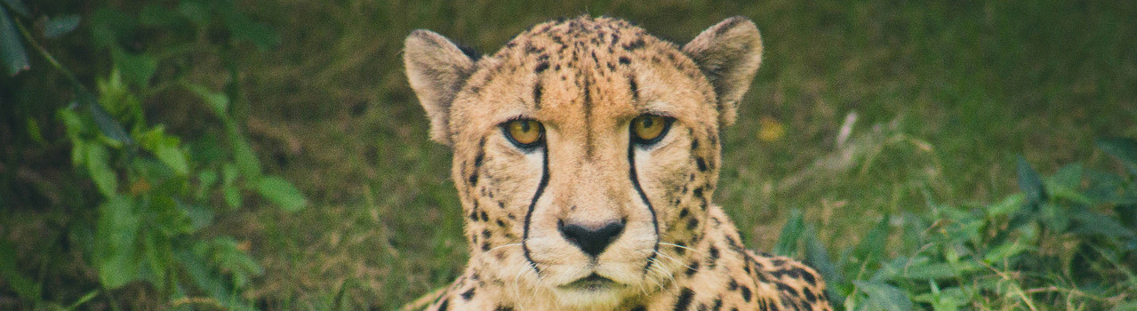 8 Days Tanzania Unforgettable Experiance