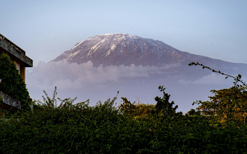 7-Day Machame Route: Shared Journey To Kilimanjaro Summit feature photo