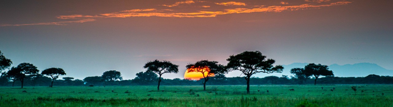 Follow The Great Migration: The River Crossings (June - December) 8 Days / 7 Nights Mid-Range Safari