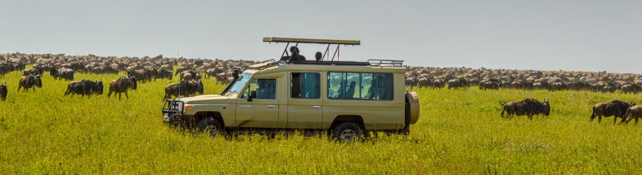Follow The Great Migration - Dec To April Season (8 Days / 7 Nights)