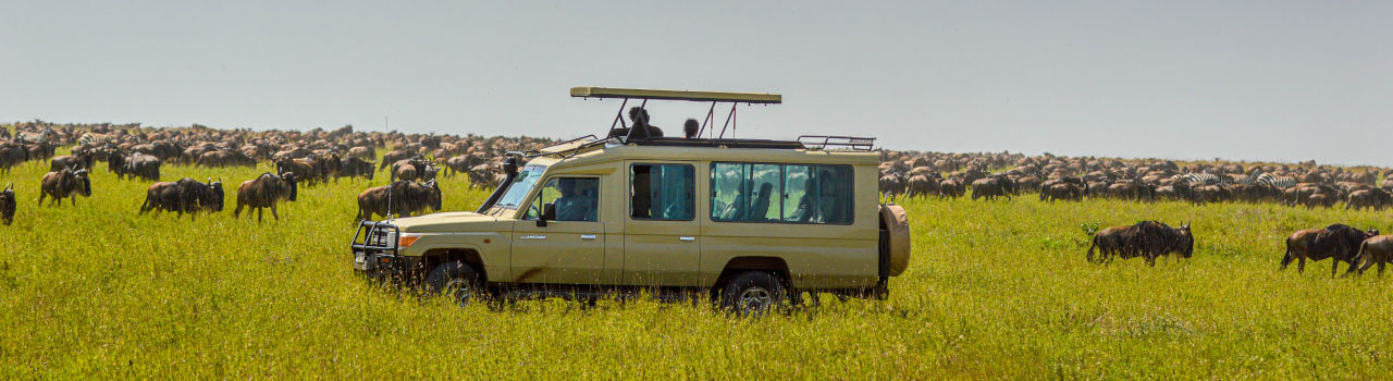 5 Days Tarangire, Lake Manyara And Ngorongoro Safari