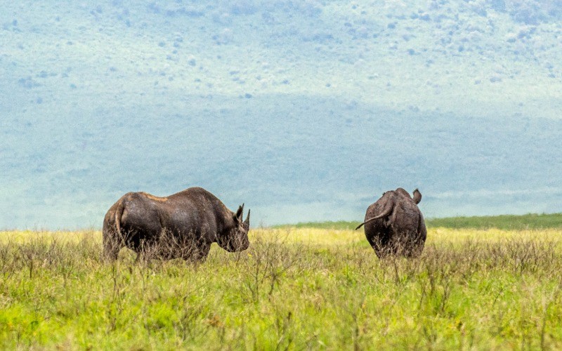 The Eighth Wonder Of The World – Ngorongoro Crater photo