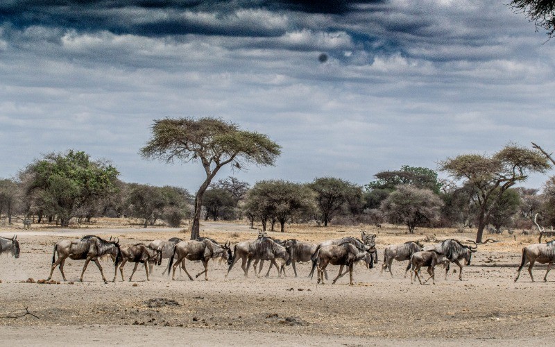 To The Ngorongoro Highlands photo
