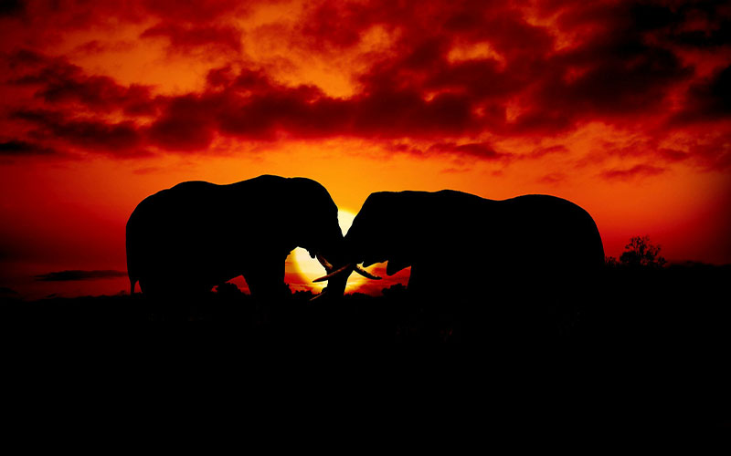 5-Day Tarangire, Ngorongoro & Serengeti Safari
