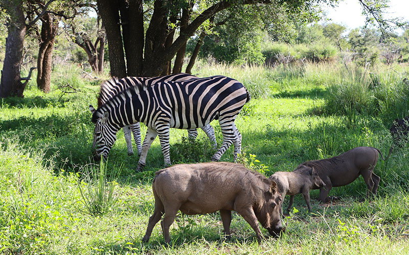 Day 4: Cultural Experience In Mto Wa Mbu & Return To Arusha photo