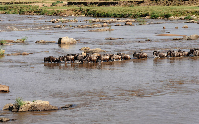 Northern Serengeti National Park photo