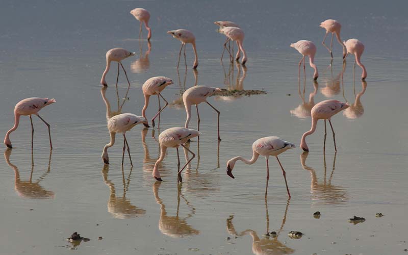 2 Days Tarangire & Ngorongoro Crater